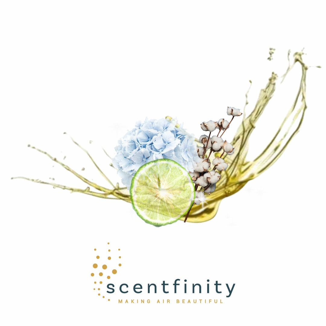 Scentfinity Junior Refill - Assorted Scents