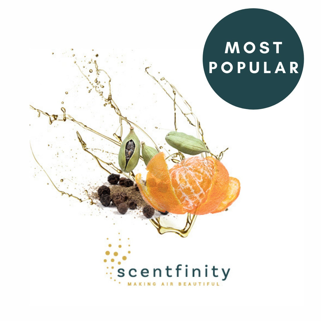 Scentfinity Junior Refill - Assorted Scents