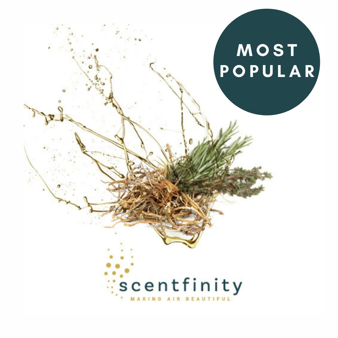 Scentfinity Junior Refill - Assorted Scents