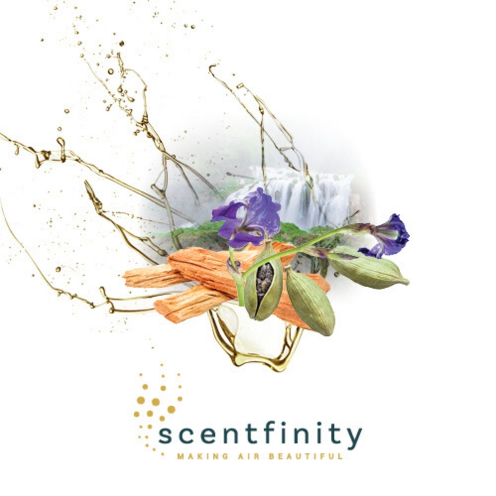 Scentfinity Junior Refill - Assorted Scents