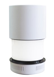 Kosher Innovations Travel Kosher Lamp, Dual Voltage - Assorted Colors