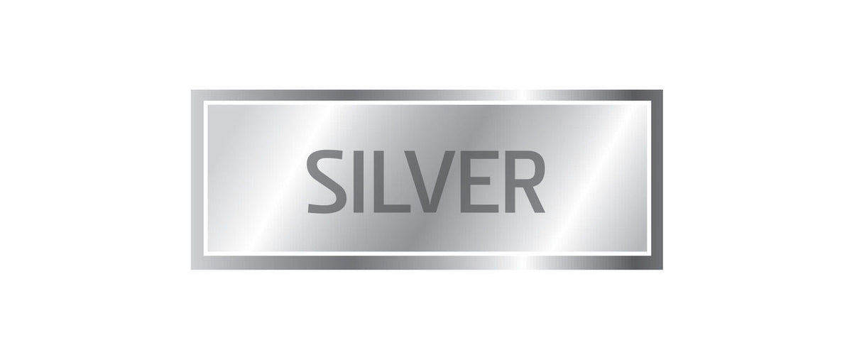 Silver Camera Bundle