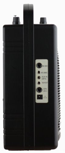 Hisonic HS120B 40W Portable PA System With Microphones AA Batteries (Handheld, Lapel & Headset), Black