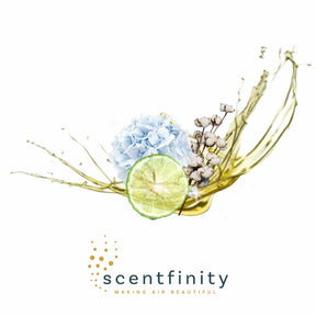 Scentfinity Junior Refill - Assorted Scents