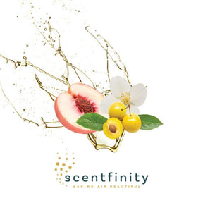 Scentfinity Junior Refill - Assorted Scents