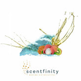 Scentfinity Junior Refill - Assorted Scents
