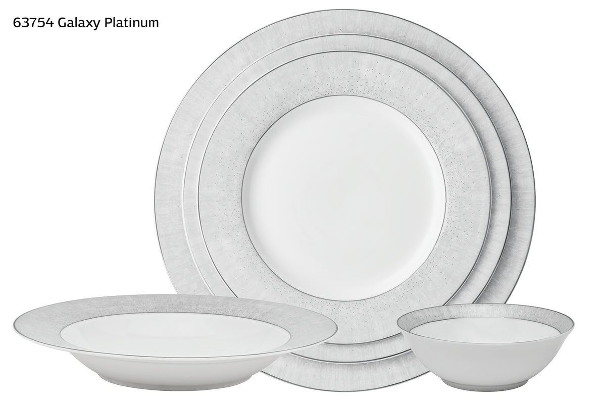 Platinum Galaxy 20 Piece Fine Bone Dinnerware Set, Service for 4