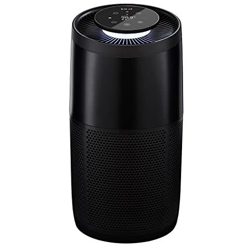 Instant Air Purifier for Large Room - Charcoal