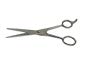 Stainless Steel Barber Scissors 6.5"