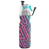 O2Cool 20 Oz Insulated ArcticSqueeze Mist 'N Sip, Artist Collection
