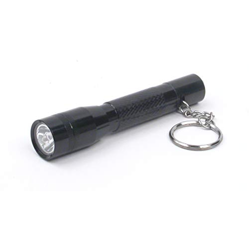 Dorcy 10-Lumen Water Resistant LED Keychain Flashlight - Assorted Colors