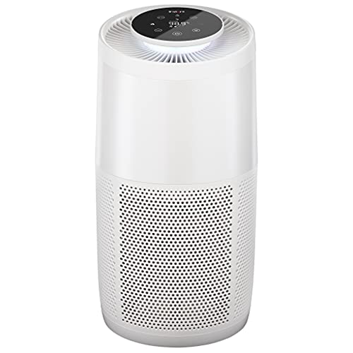 Instant Air Purifier for Large Room - Pearl