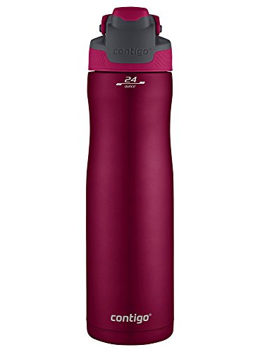Contigo AutoSeal Chill Water Bottle, 24oz, Very Berry